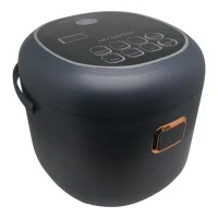 Автомобільна мультиварка Leader 2L 12/24V 220V для дороги